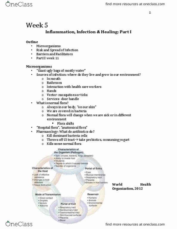 Nursing 2230A/B Lecture Notes - Lecture 5: Hospital-Acquired Infection, Human Microbiota, World Health Organization thumbnail