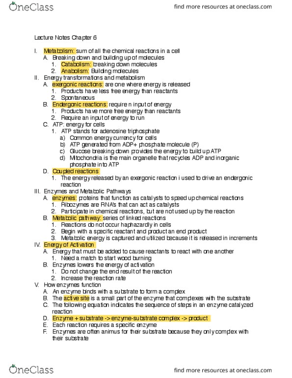 BIOL 1541L Lecture Notes - Lecture 8: Exergonic Reaction, Metabolic Pathway, Endergonic Reaction thumbnail