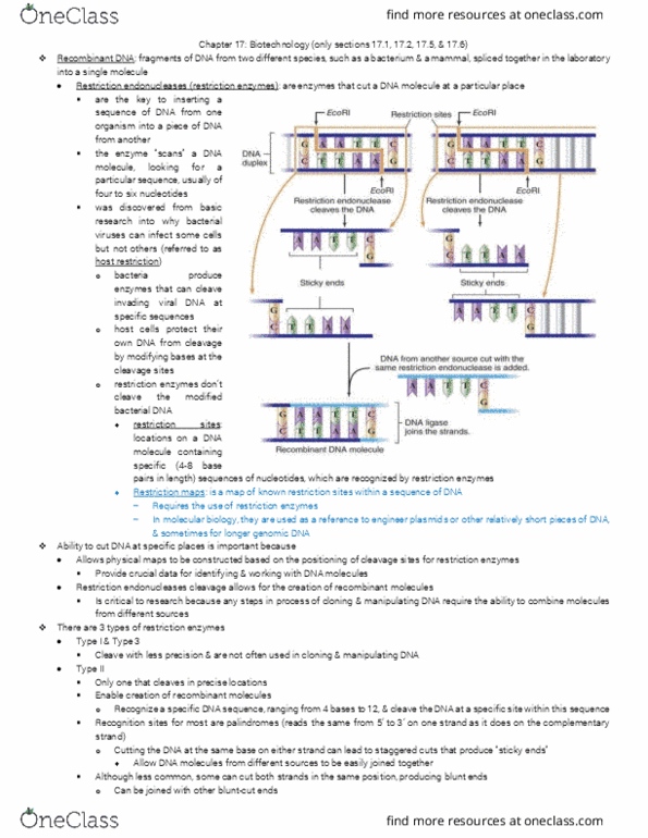 BSC 1010 Chapter Notes - Chapter 17: Polymerase Chain Reaction, Molecular Cloning, Recombinant Dna thumbnail