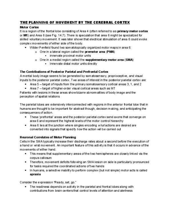 PS363 Lecture Notes - Posterior Parietal Cortex, Supplementary Motor Area, Basal Ganglia thumbnail