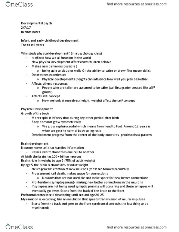 PSYC 289 Lecture Notes - Lecture 7: Programmed Cell Death, Prefrontal Cortex, Synaptic Pruning thumbnail