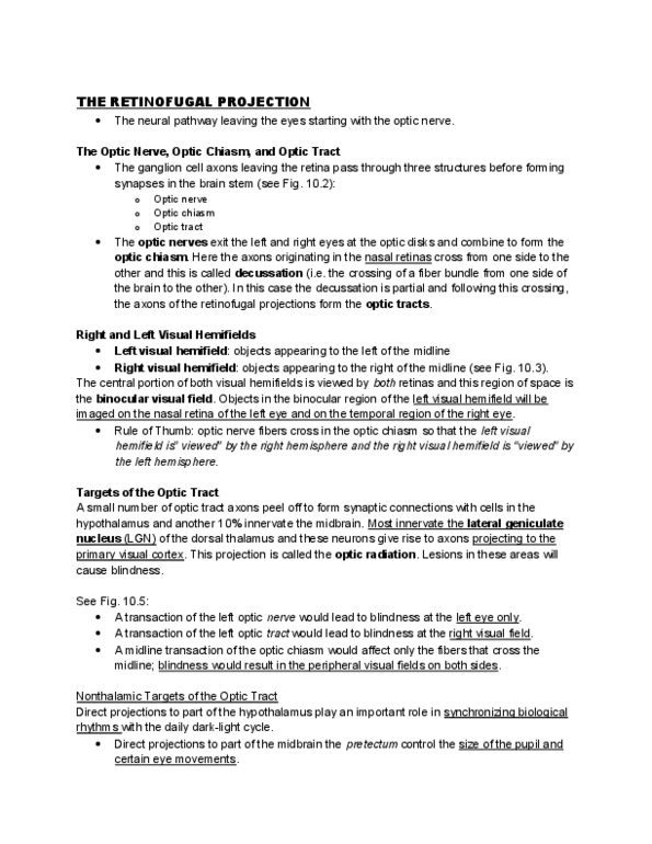 PS363 Lecture Notes - Lateral Geniculate Nucleus, Optic Tract, Optic Nerve thumbnail