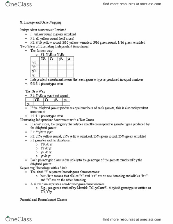 BSC 315 Lecture Notes - Lecture 11: Mendelian Inheritance, Gamete, Semicolon thumbnail