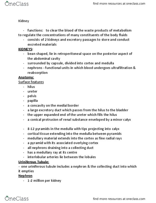 Anatomy and Cell Biology 3309 Lecture Notes - Lecture 20: Proximal Tubule, Renal Corpuscle, Renal Calyx thumbnail