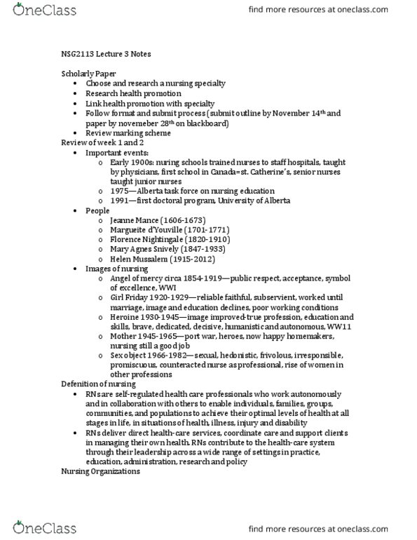 NSG 2113 Lecture Notes - Lecture 3: Clinical Nurse Specialist, Outline Of Health Sciences, Practice Statement thumbnail