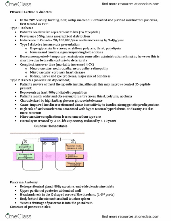 PHS 1200 Lecture Notes - Lecture 3: Insulin Receptor, Diabetic Ketoacidosis, Diabetes Mellitus Type 1 thumbnail