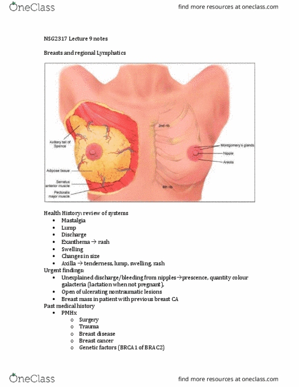 NSG 2713 Lecture Notes - Lecture 9: Breast Disease, Breast Implant, Breast Self-Examination thumbnail