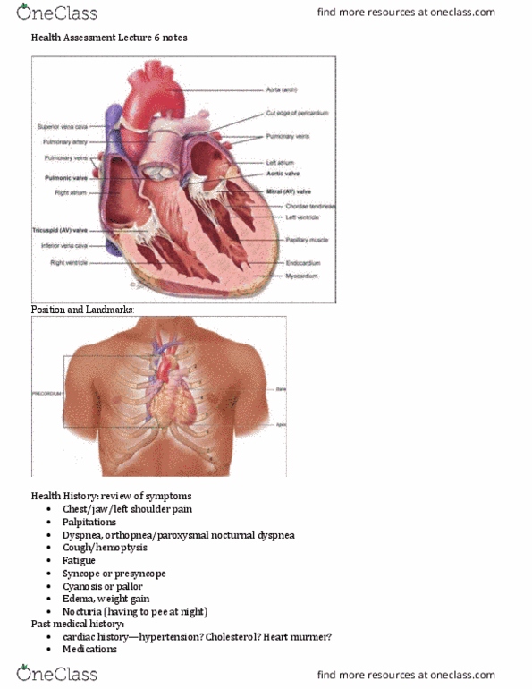NSG 2713 Lecture Notes - Lecture 6: External Jugular Vein, Aortic Stenosis, Aortic Valve thumbnail