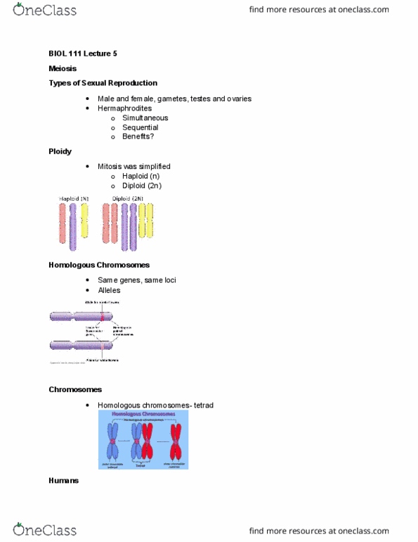 BIOL 11100 Lecture Notes - Lecture 5: Sequential Hermaphroditism, Telophase, Metaphase thumbnail