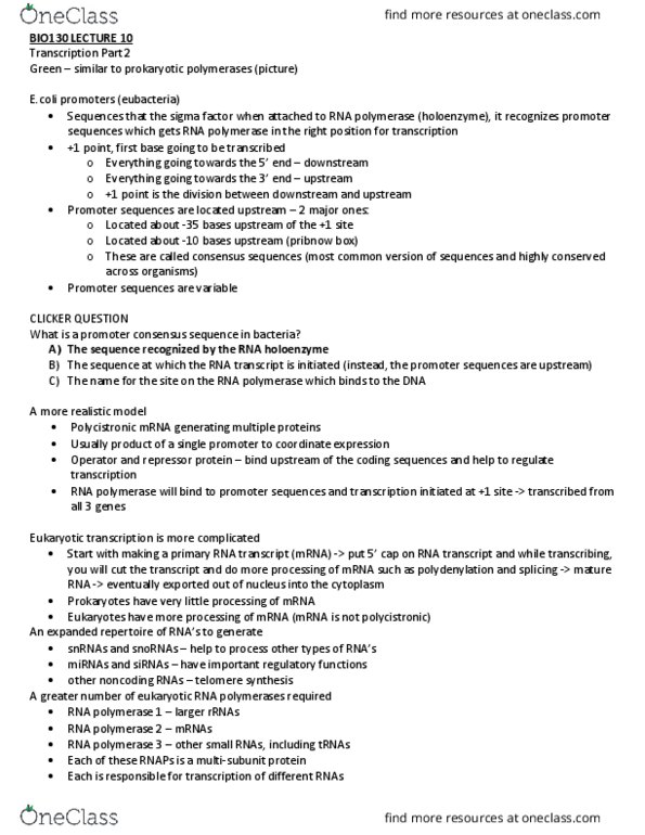 BIO130H1 Lecture Notes - Lecture 10: C-Terminus, Eukaryotic Transcription, Pribnow Box thumbnail