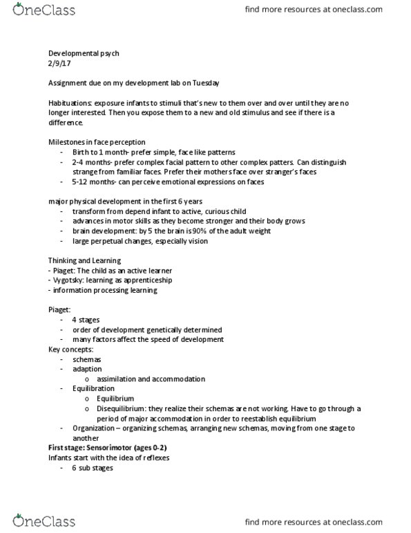 PSYC 289 Lecture Notes - Lecture 8: Dual Representation, Object Permanence, Face Perception thumbnail