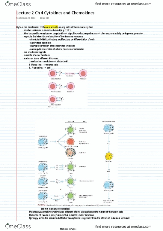 BIOL 3120 Lecture Notes - Lecture 2: Map3K7, Myd88, Signal Transduction thumbnail
