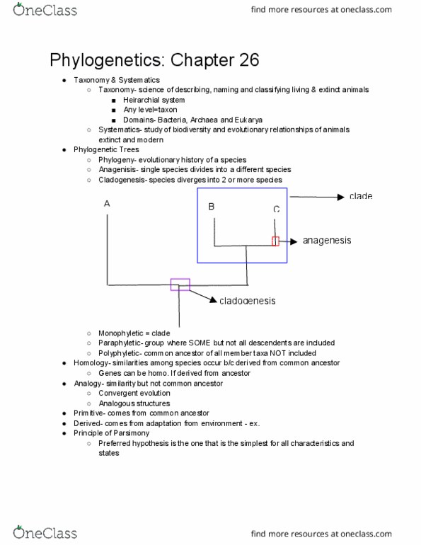 BIO-1802 Lecture Notes - Lecture 4: Cladogenesis, Anagenesis, Polyphyly thumbnail