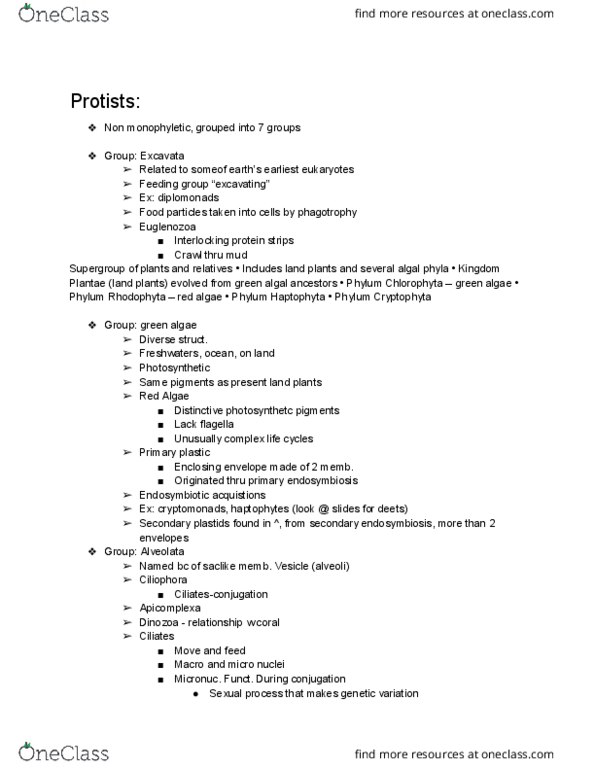 BIO-1802 Lecture Notes - Lecture 7: Green Algae, Red Algae, Symbiogenesis thumbnail