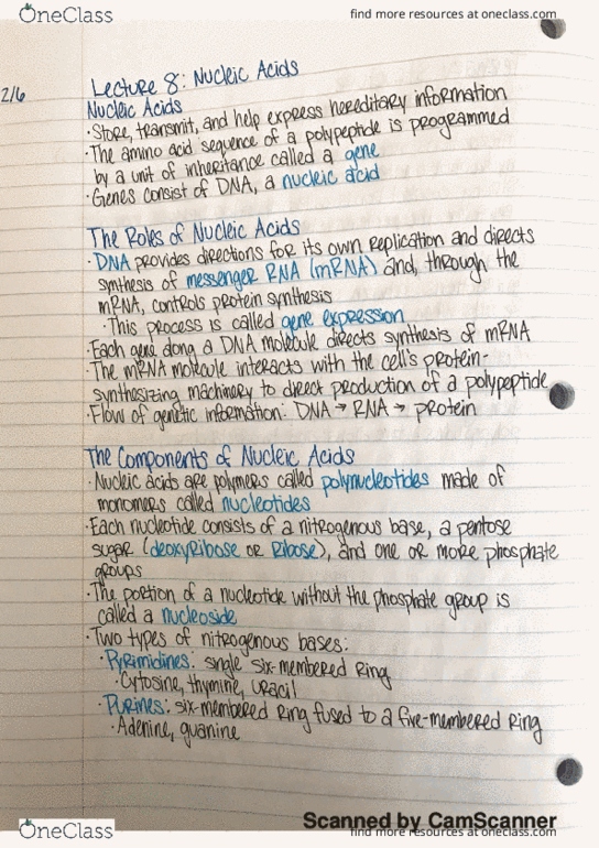 BIO 311C Lecture 8: Nucleic Acids thumbnail