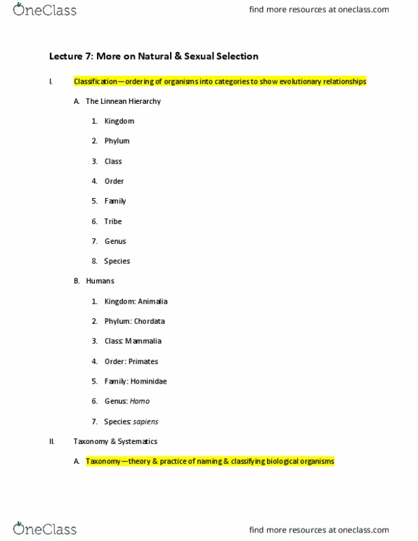 CAS AN 102 Lecture Notes - Lecture 7: Carnassial, Parallel Evolution, Cladistics thumbnail