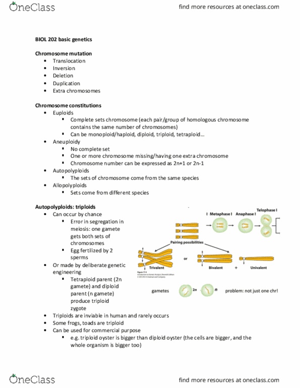 BIOL 202 Lecture Notes - Lecture 16: Homologous Chromosome, Ploidy, Colchicine thumbnail