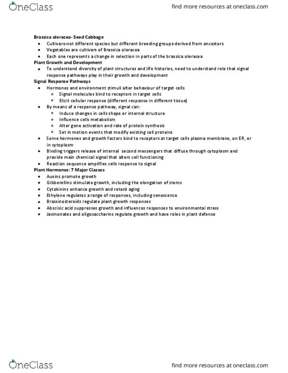 BI111 Lecture Notes - Lecture 10: Brassica Oleracea, Meristem, Gibberellin thumbnail