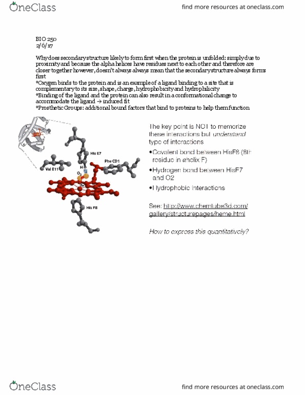 BIO 253 Lecture Notes - Lecture 6: Alpha Helix, Myoglobin, Hemoglobin thumbnail