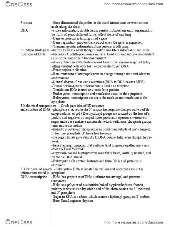 BIOL 2050 Chapter Notes - Chapter 3: Phosphodiester Bond, Ribosomal Rna, Gene Expression thumbnail
