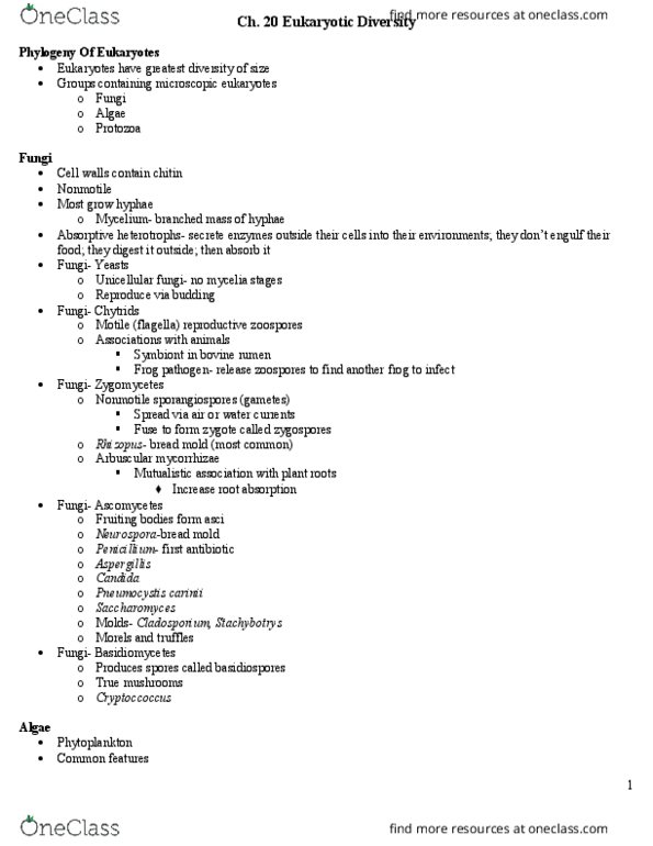 BIOL 2051 Lecture Notes - Lecture 20: Pneumocystis Jirovecii, Brown Algae, Stachybotrys thumbnail