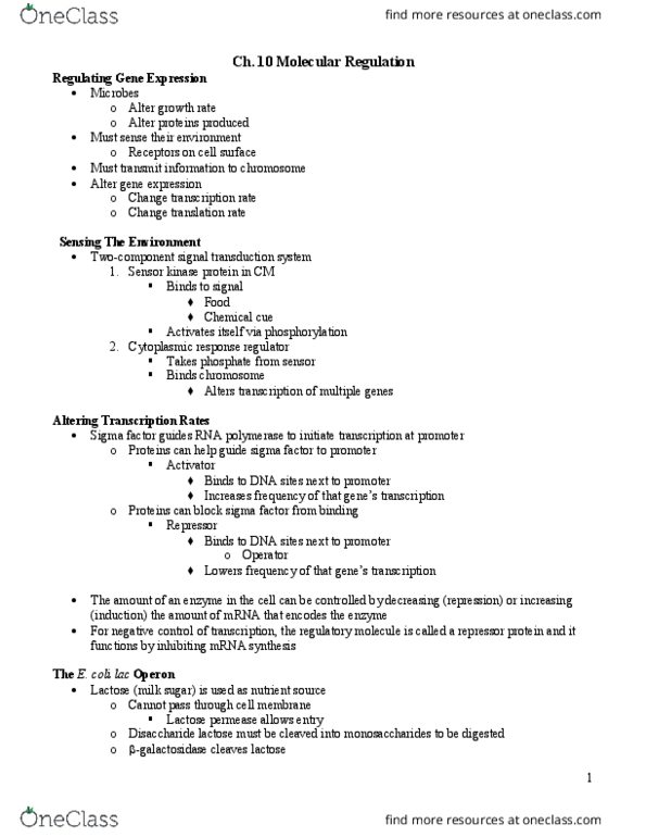 BIOL 2051 Lecture Notes - Lecture 10: Lactose Permease, Lac Operon, Sigma Factor thumbnail