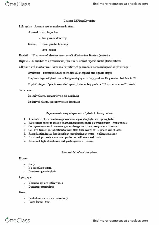 BIOL412 Chapter Notes - Chapter 33: Vernation, Vascular Cambium, Lycopodiopsida thumbnail