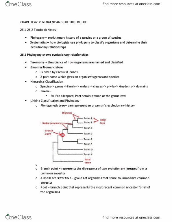 BIOL 2200 Chapter Notes - Chapter 26: Binomial Nomenclature, Branch Point, Convergent Evolution thumbnail