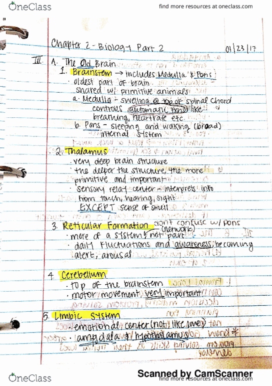 PSYCH 2010 Lecture 3: biology part 2 thumbnail