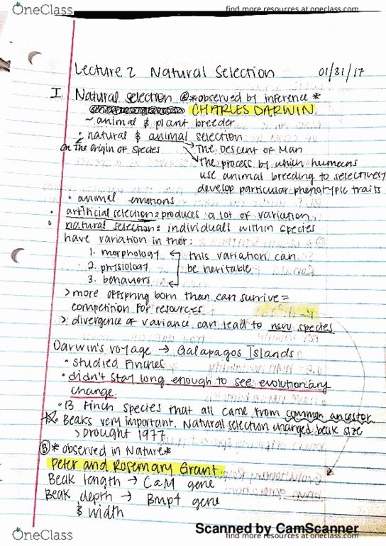 BIOL-4700 Lecture 4: natural selection thumbnail