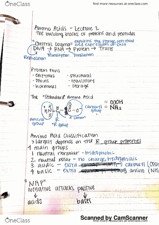 BCHM-3050 Lecture 2: amino acids thumbnail