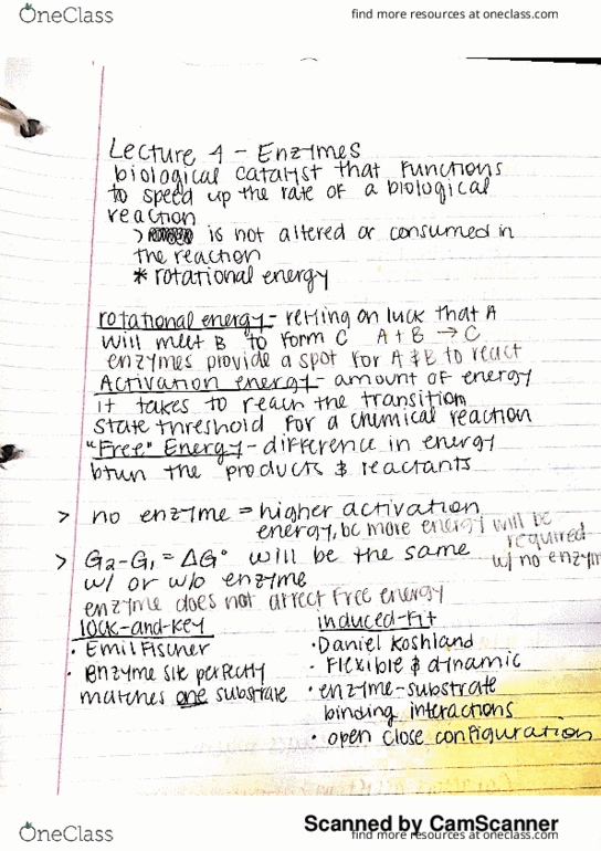 BCHM-3050 Lecture 4: enzymes thumbnail