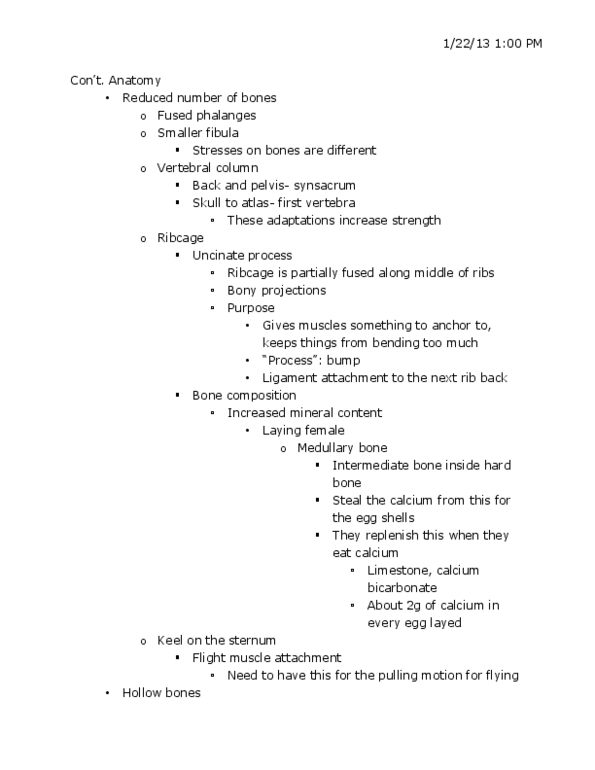 ANS 217 Lecture Notes - Lecture 3: Hummingbird, Synsacrum, Pectoralis Minor Muscle thumbnail