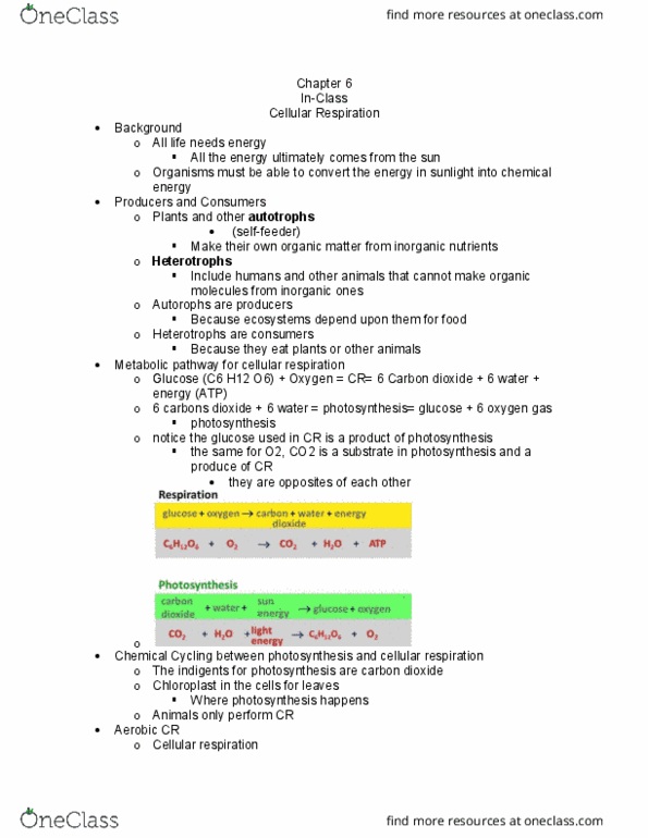 BSC 108 Lecture Notes - Lecture 10: Anaerobic Respiration, The Heart Beats, Metabolic Pathway thumbnail