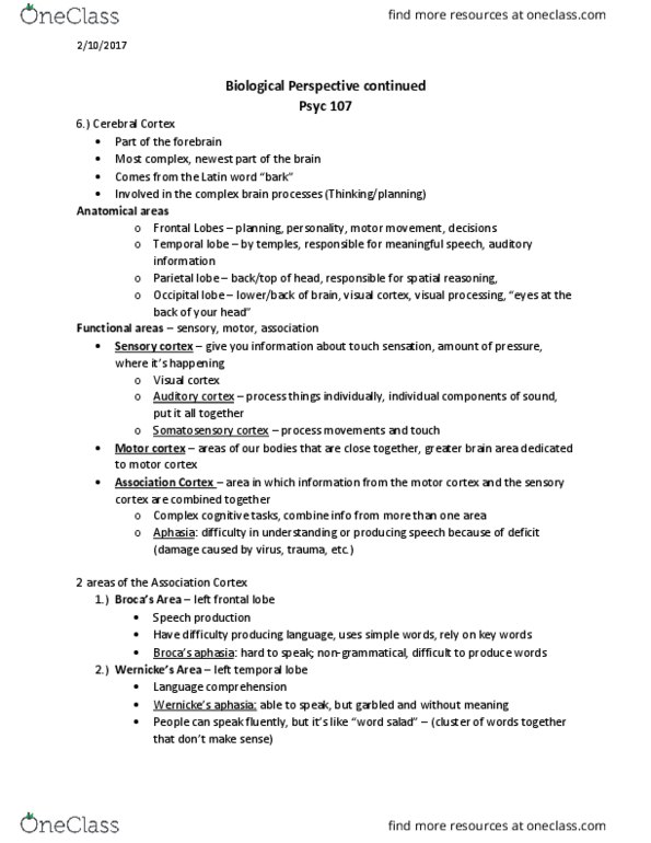 PSYC 107 Lecture Notes - Lecture 8: Frontal Lobe, Occipital Lobe, Parietal Lobe thumbnail