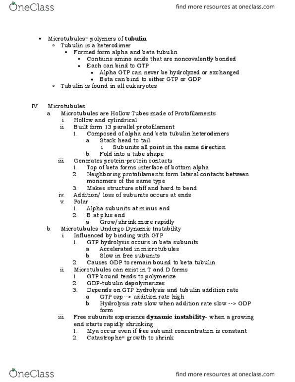 BIO 211 Lecture Notes - Lecture 9: Tubulin, Depolymerization, Nocodazole thumbnail