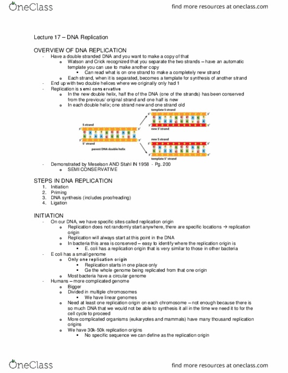Biochemistry 2280A Lecture Notes - Lecture 17: Okazaki Fragments, Dna Replication, Helicase thumbnail