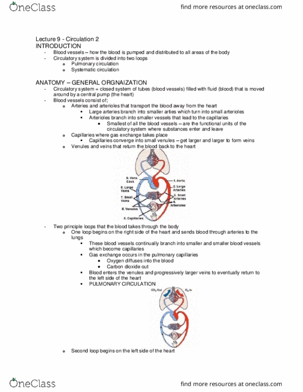 Physiology 2130 Lecture Notes - Lecture 9: Starling Equation, Pulmonary Circulation, Blood Vessel thumbnail