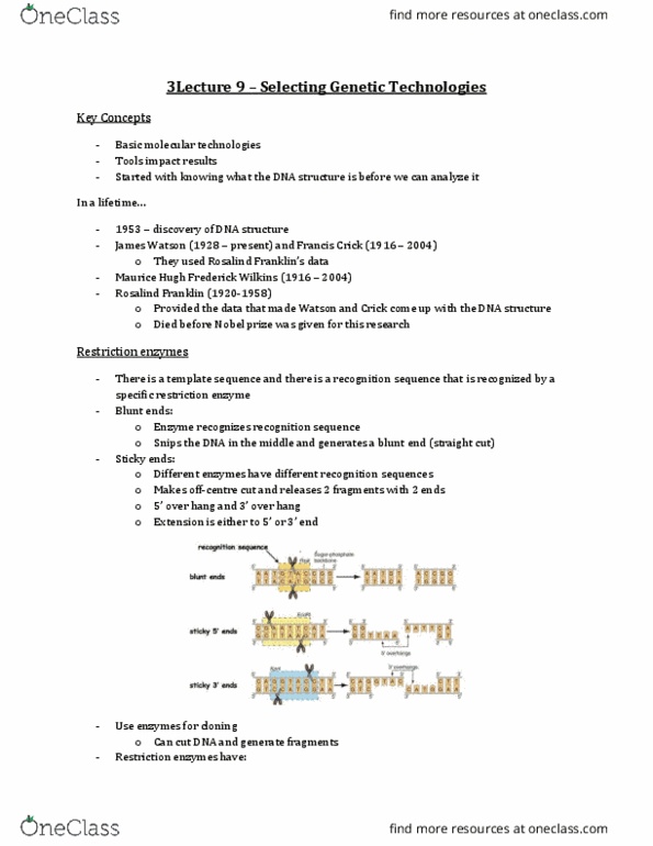 Biology 2581B Lecture Notes - Lecture 9: Maurice Wilkins, Agarose Gel Electrophoresis, Recognition Sequence thumbnail