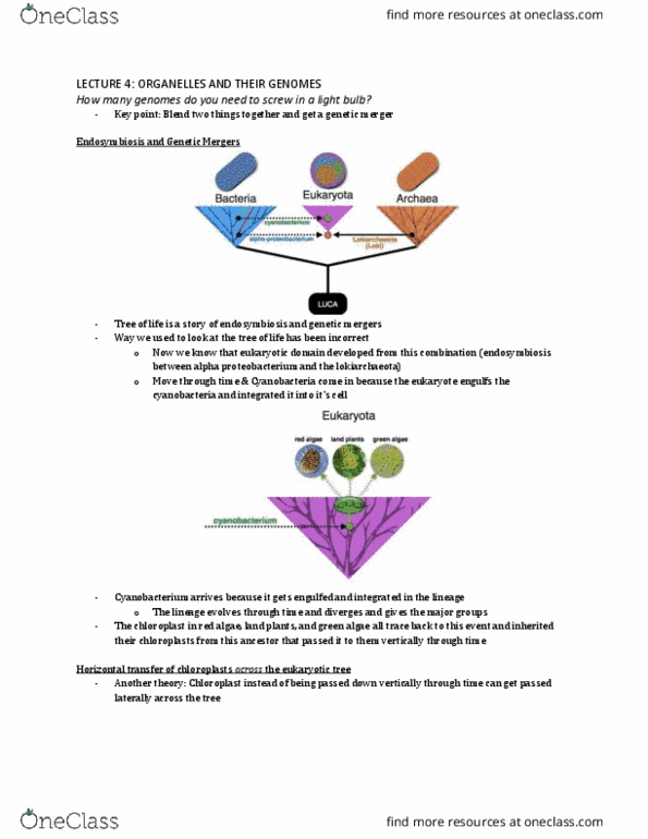 Biology 2581B Lecture Notes - Lecture 4: Symbiogenesis, Red Algae, Horizontal Gene Transfer thumbnail