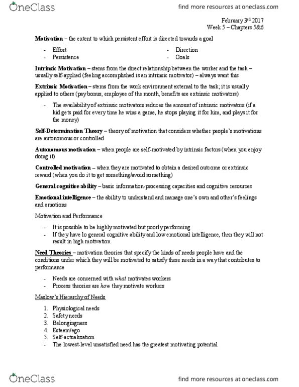 Management and Organizational Studies 2181A/B Lecture 5: Chapter 5&6 - Motivation thumbnail