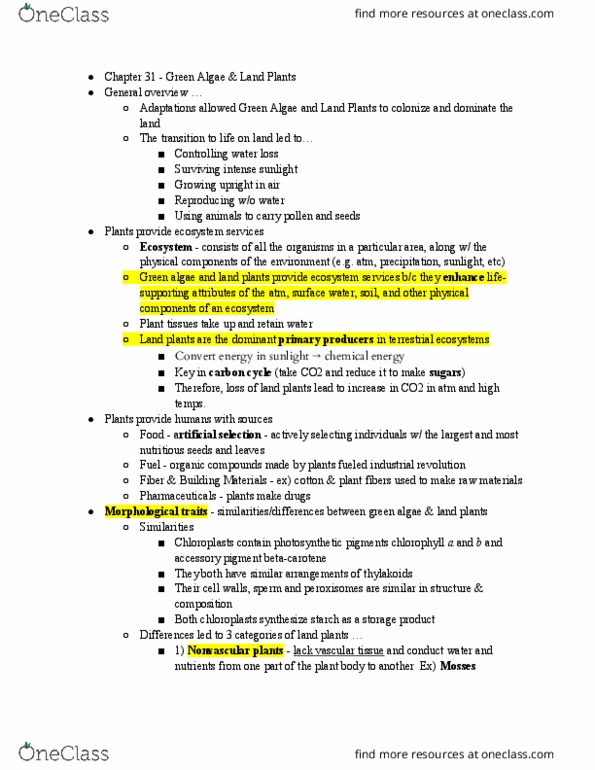 BIO SCI 94 Chapter 31: Chapter 31 - Green Algae & Land Plants thumbnail