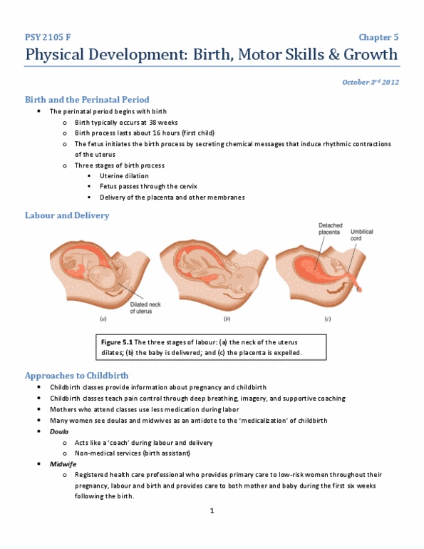 PSY 2105 Chapter Notes - Chapter 5: Habituation, Puberty, Moro Reflex thumbnail