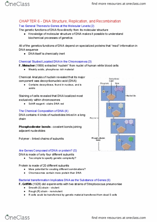 BI226 Chapter 6: DNA Structure Replication and Recombination thumbnail