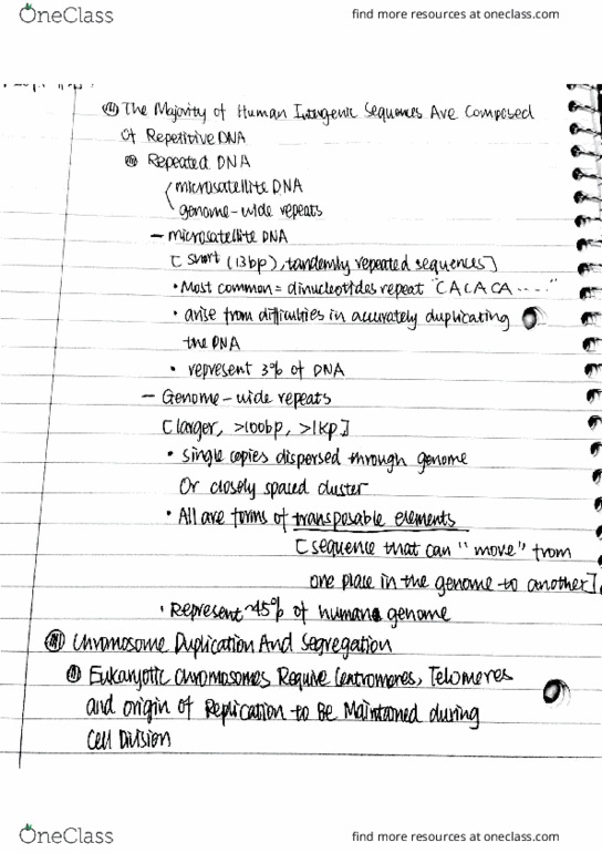 BIOCHEM 275 Chapter 8.2: Cell Cycle and Human Genome (Lecture 7) thumbnail