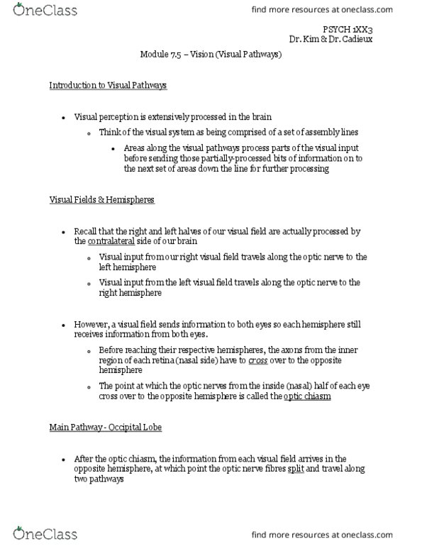 PSYCH 1XX3 Chapter 7.5: PSYCH 1XX3 - Module 7.5 Notes (Visual Pathways) thumbnail