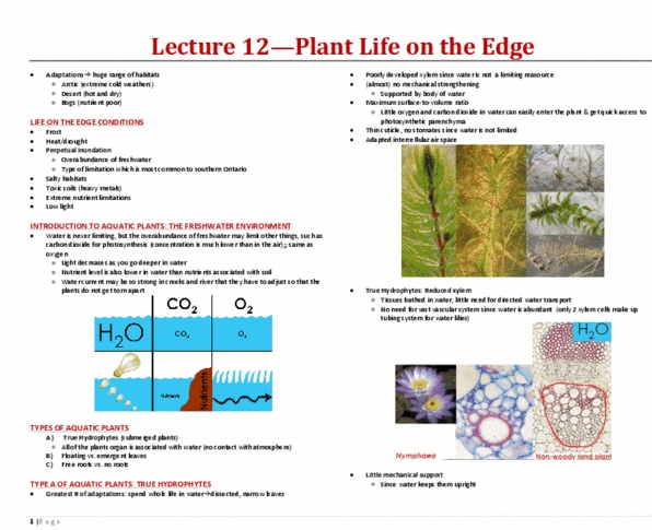 BIOA01H3 Lecture Notes - Lecture 12: Vallisneria, Herbivore, Plant Reproductive Morphology thumbnail