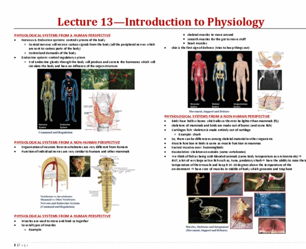 BIOA01H3 Lecture Notes - Lecture 13: Hydrogen Sulfide, Atacama Desert, Aestivation thumbnail