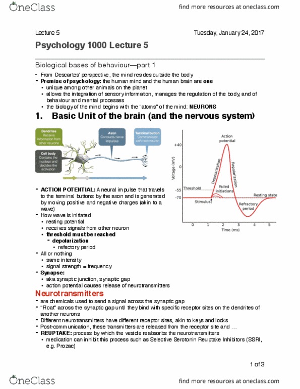 PSYC 1000 Lecture Notes - Lecture 5: Pethidine, Mptp, Acetylcholine thumbnail