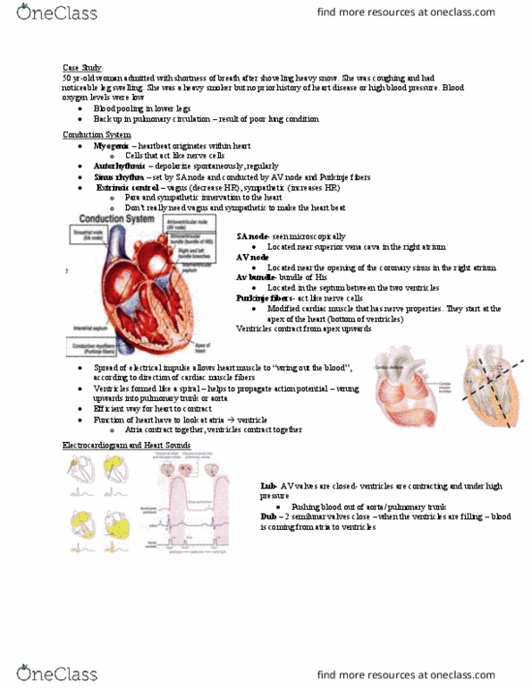 Anatomy and Cell Biology 2221 Lecture Notes - Lecture 12: Mediastinum, Cisterna, Blood Proteins thumbnail